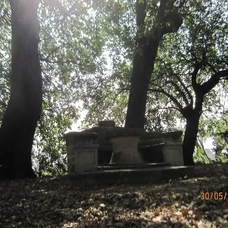 Teseo Hébergement de vacances Alezio